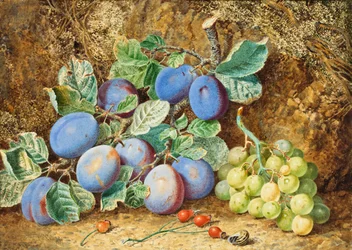 Pflaumen und Trauben, 1877